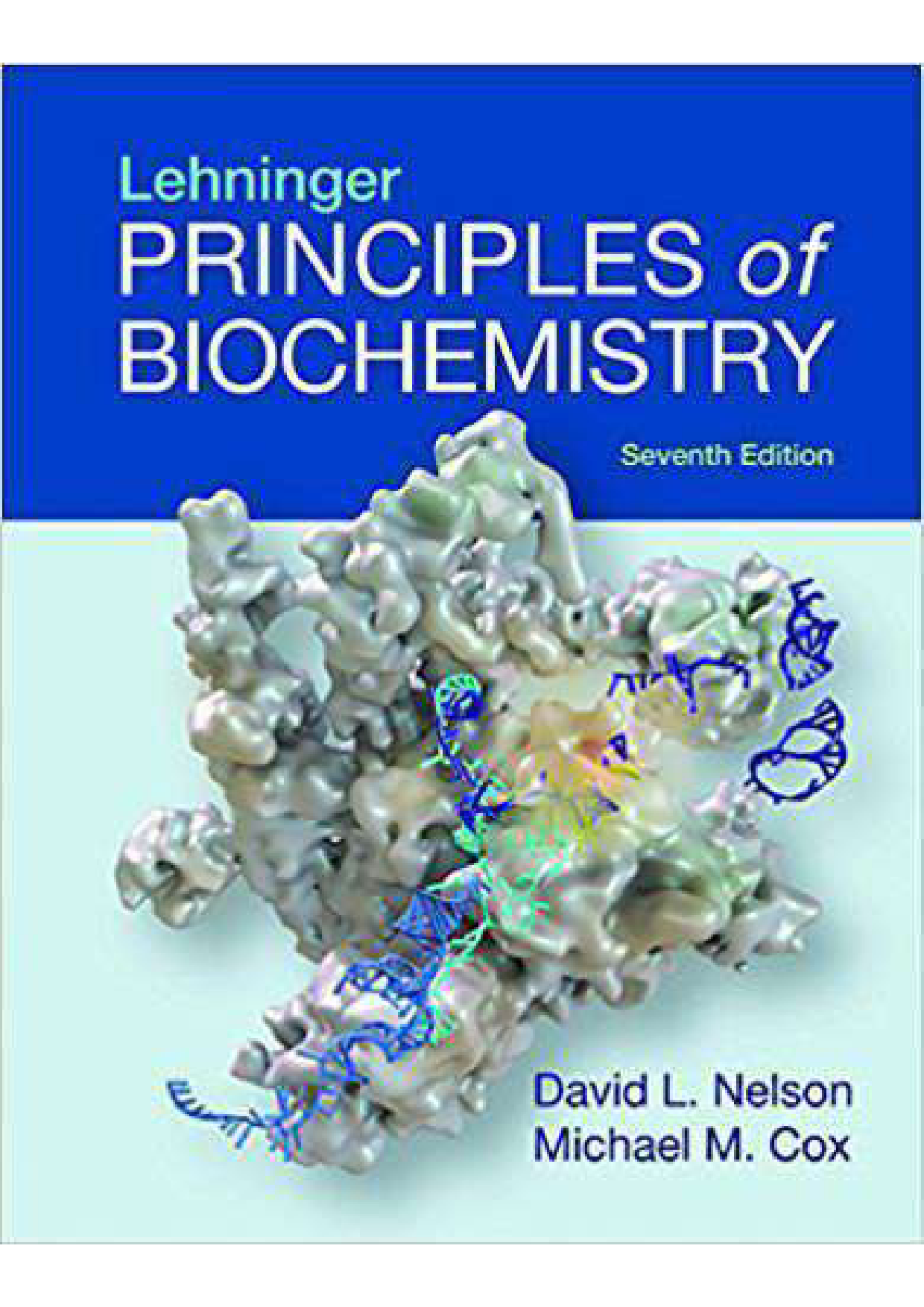 Lehninger Principles of Biochemistry, 7th Edition Test Bank