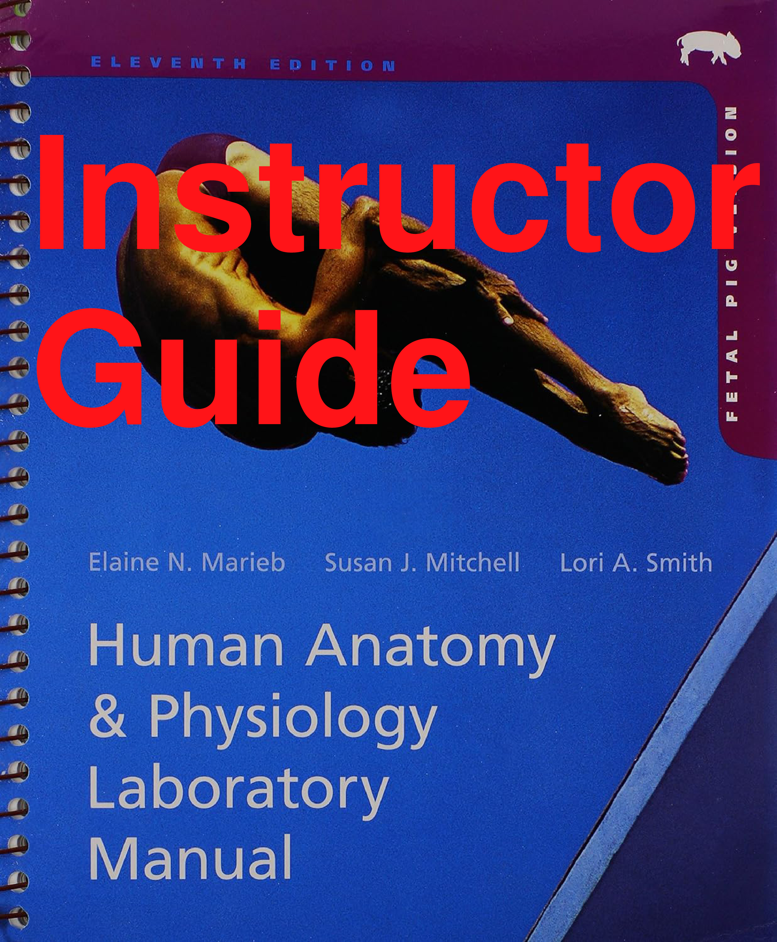 Human Anatomy & Physiology Laboratory Manual, 11th Edition Instructor Guide