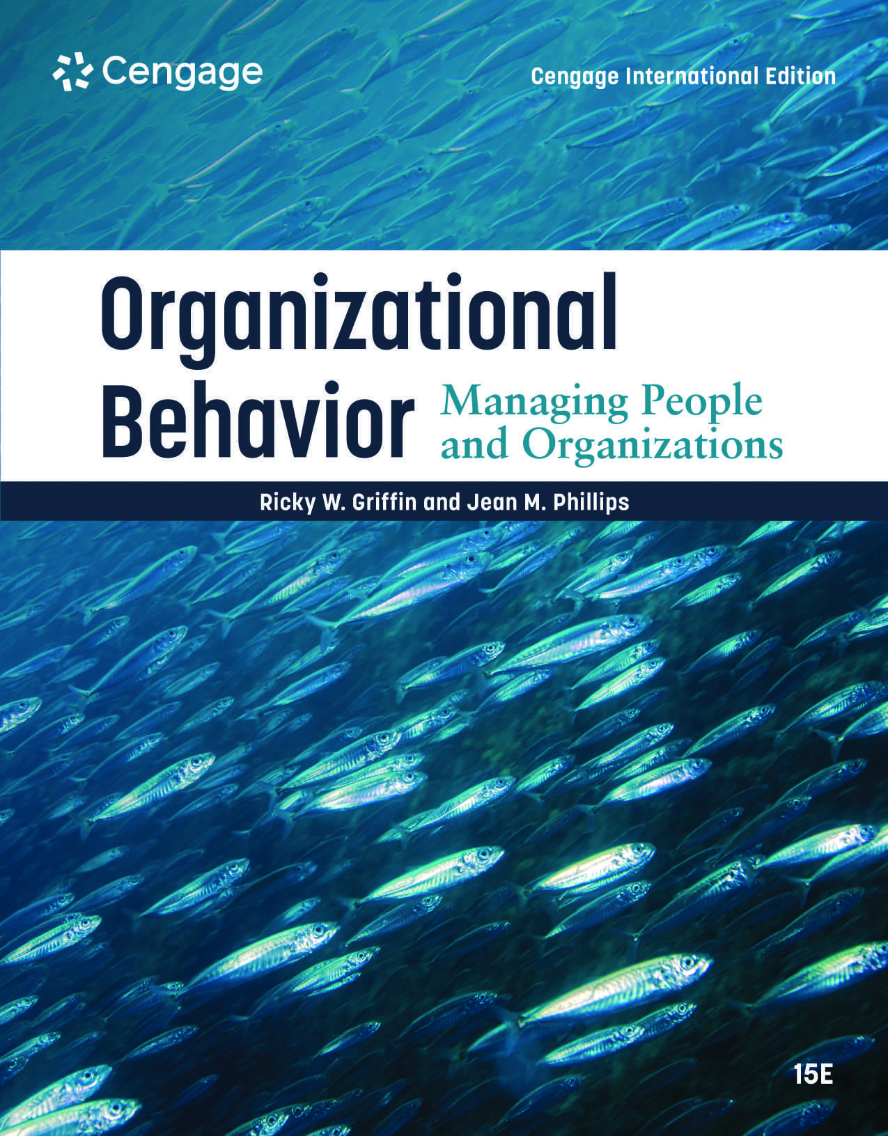 Organizational Behavior: Managing People and Organizations, 15th Edition Ebook