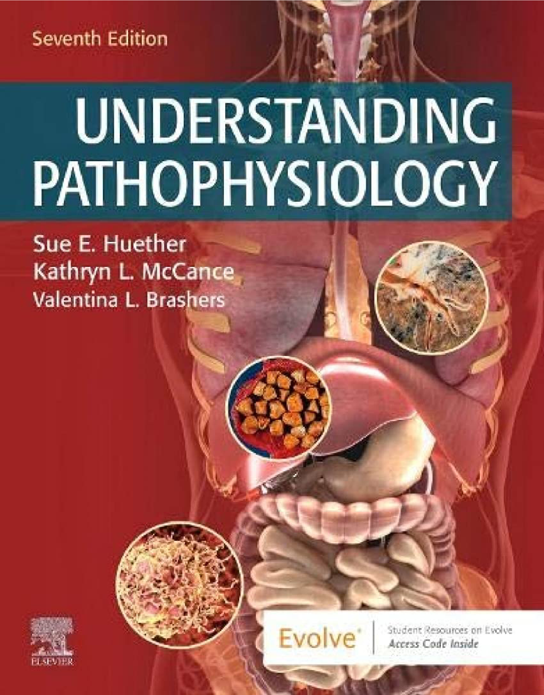 Understanding Pathophysiology, 7th Edition Ebook