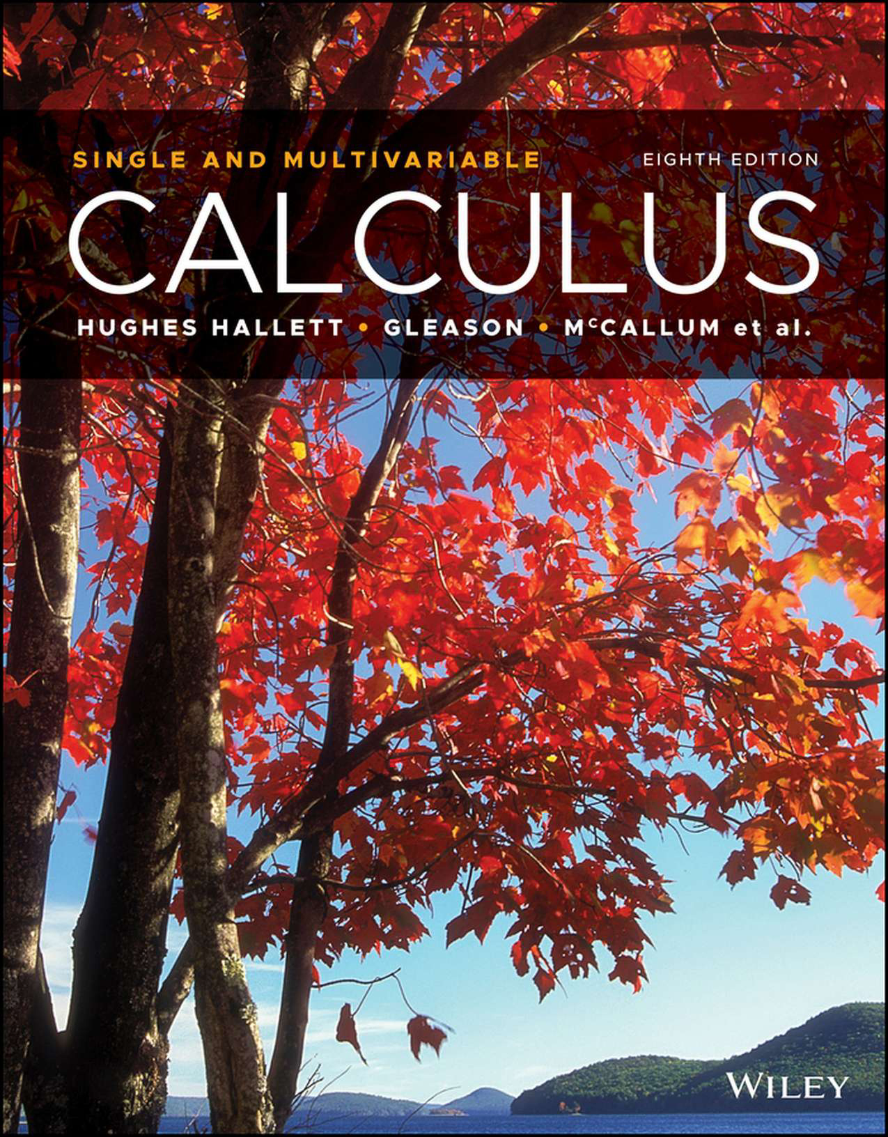 Calculus: Single and Multivariable, 8th Edition Ebook