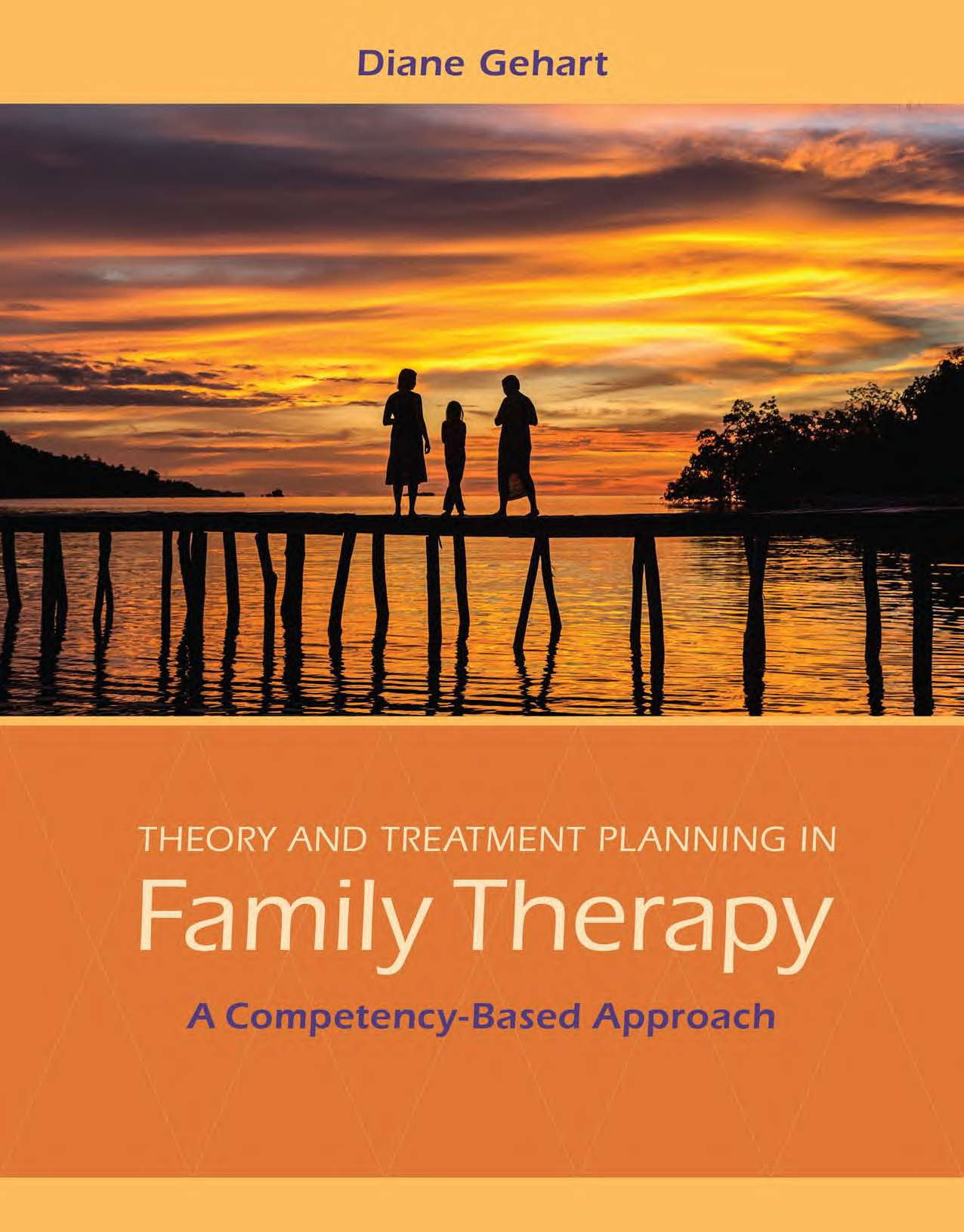 Theory and Treatment Planning in Family Therapy: A Competency-Based Approach, 1st Edition