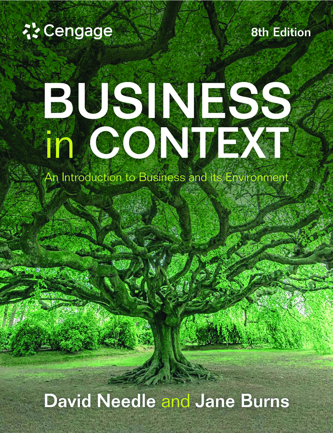Business in Context: An Introduction to Business and Its Environment, 8th Edition