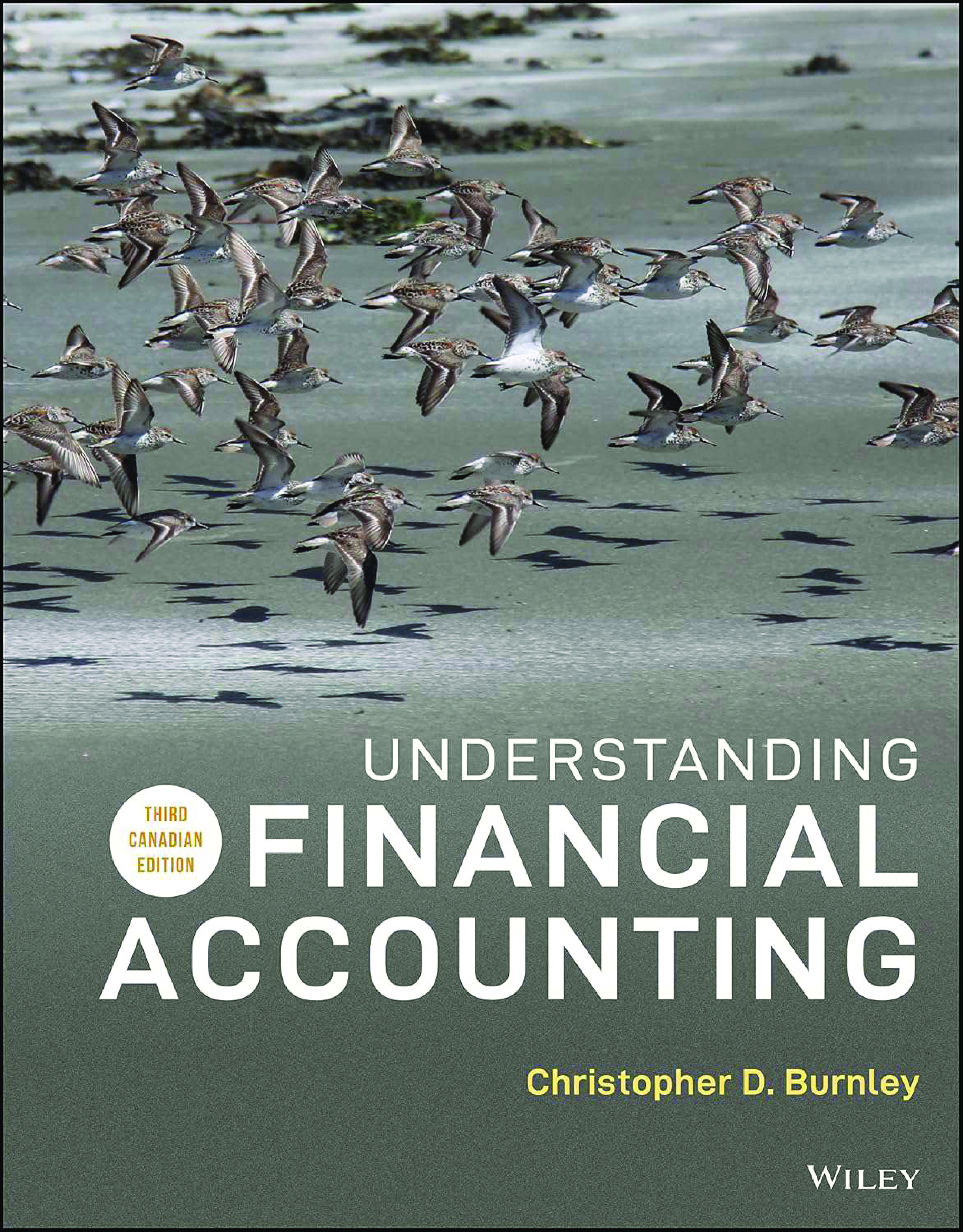 Understanding Financial Accounting, 3rd Canadian Edition Ebook