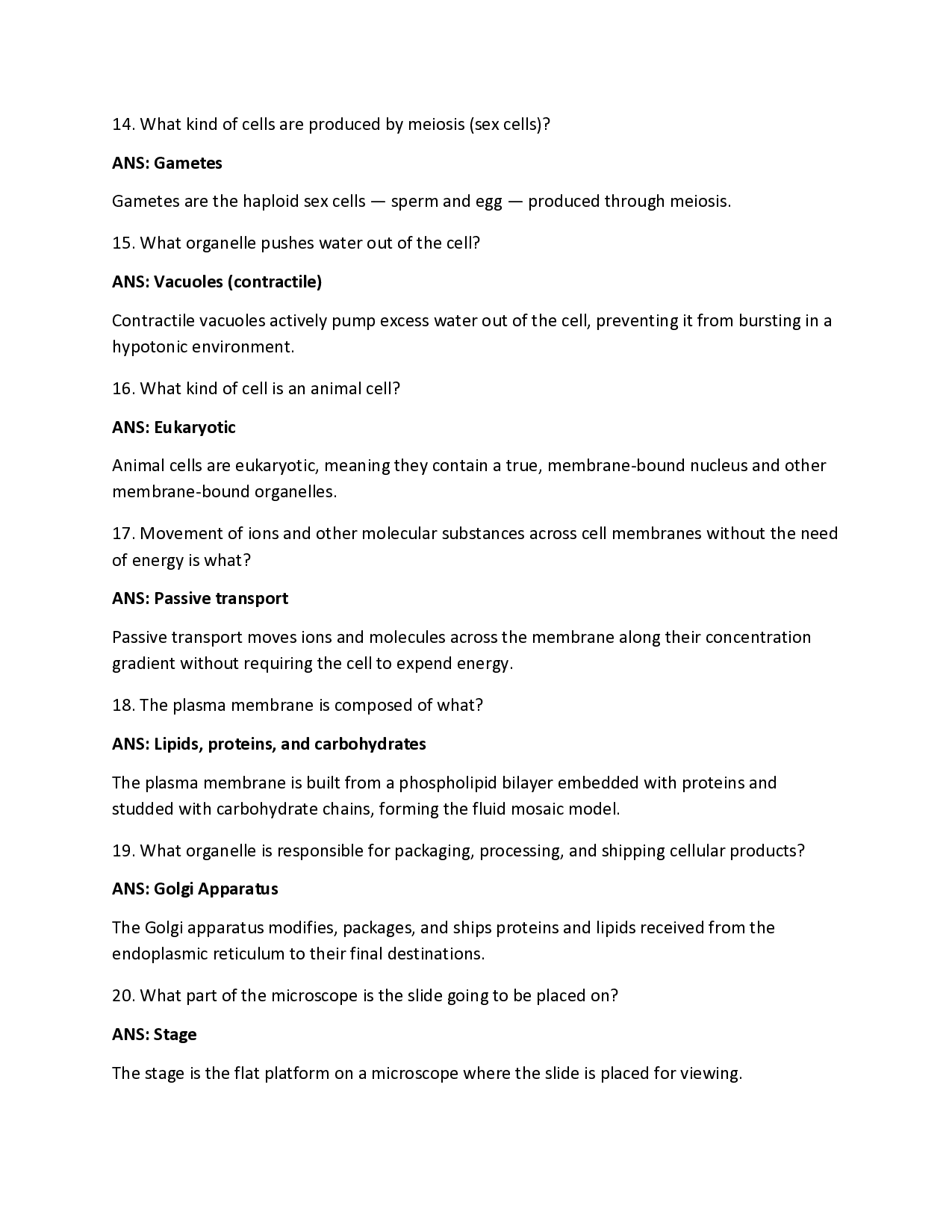 Preview page 3