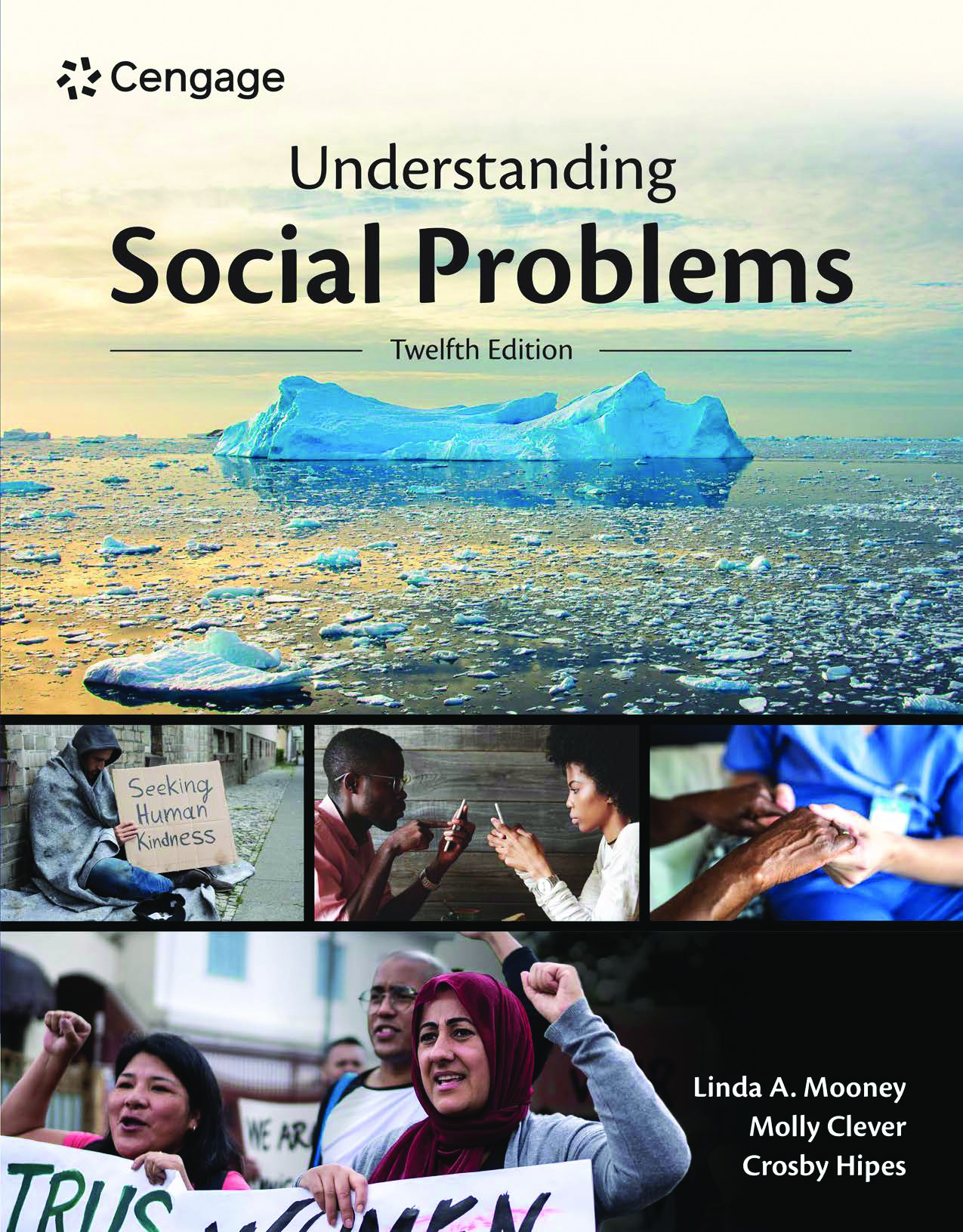 Understanding Social Problems, 12th Edition Ebook