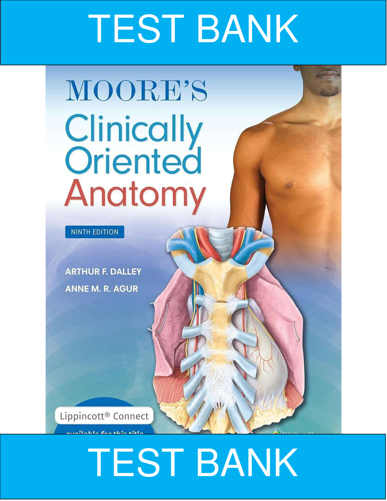 Moore's Clinically Oriented Anatomy, 9th Edition Test Bank