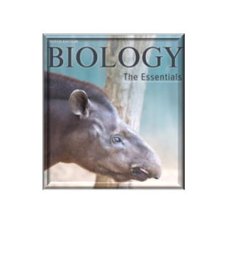 Biology: The Essentials, 4th Edition Test Bank by Mariëlle Hoefnagels